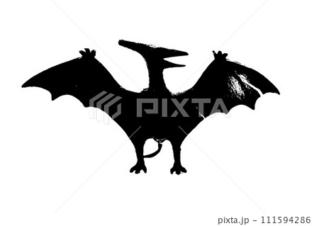 black dinosaur silhouette isolated on white background, model of pteranodon toys 111594286