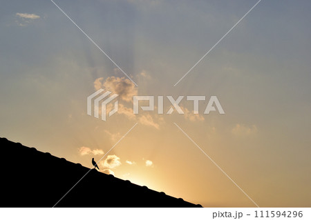 bird on roof house on sunrise sky and cloud in the morning, sunset natural background bird on roof house on sunrise sky and cloud in the morning, sunset natural background 111594296