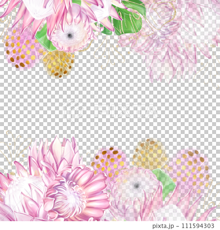 Tropical banner, square frame with pink protea flowers and colorful feathers. Exotic plants, romantic, luxury template for design 111594303