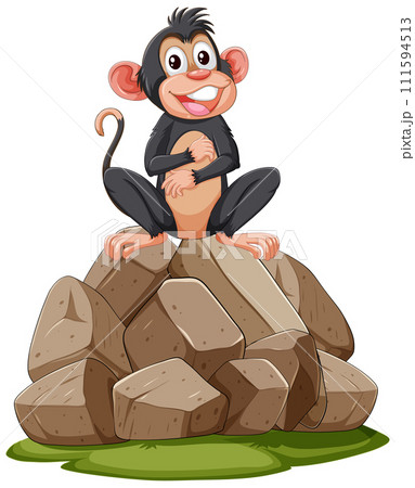 Cheerful Monkey Sitting on Rocks 111594513
