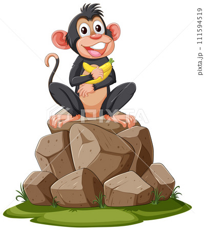 Cheerful Monkey on a Rock Pile 111594519