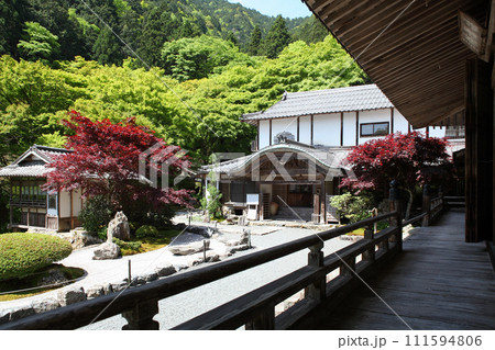 古知谷阿弥陀寺の境内 古知谷阿弥陀寺の境内 111594806