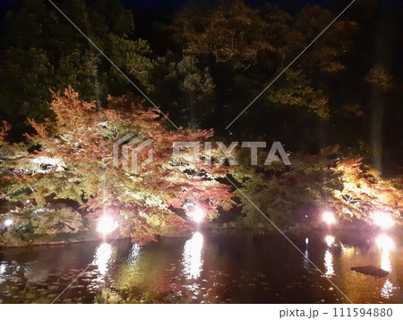 紅葉ライトアップ 111594880