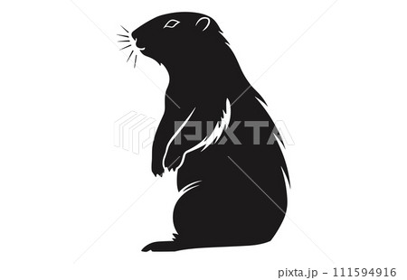 Groundhog silhouette design, groundhog black vector design ,groundhog marmot silhouette. 111594916