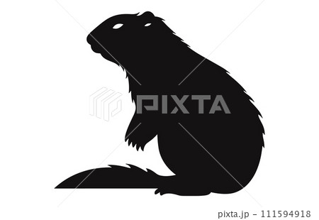 Groundhog silhouette design, groundhog black vector design ,groundhog marmot silhouette. 111594918