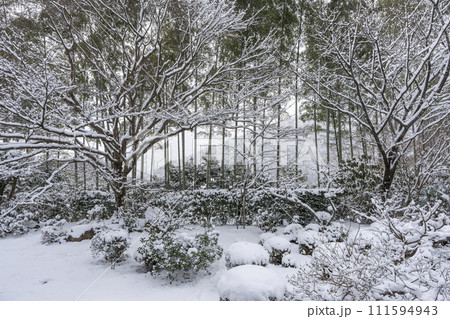 京都大原　宝泉院　雪景色の盤桓園 111594943