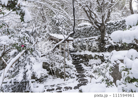 京都大原　宝泉院　雪景色の宝楽園 111594961