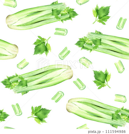 Watercolor seamless pattern with green vegetable celery and leaves. Hand drawn food illustration isolated on white background. For wrapping wallpaper fabric textile 111594986