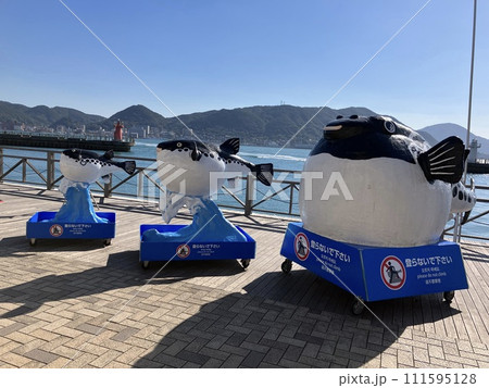 唐戸市場のふぐ 唐戸市場のふぐ 111595128