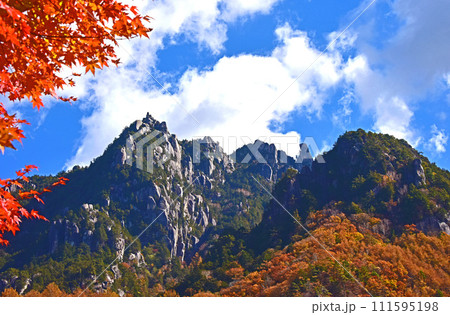 八ヶ岳 みずがき山自然公園 紅葉景色 八ヶ岳 みずがき山自然公園 紅葉景色 111595198