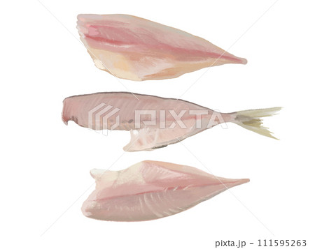 魚の三枚おろし 111595263