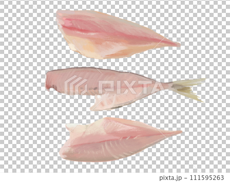 Three pieces of grated fish 111595263