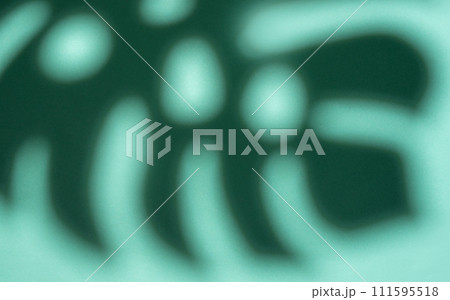 Shadows from monstera leaves Shadows from monstera leaves 111595518
