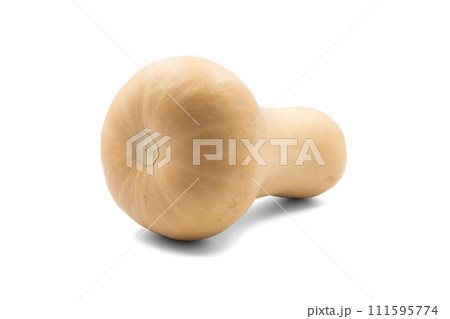 バターナッツかぼちゃ【山形県産】影あり バターナッツかぼちゃ【山形県産】影あり 111595774