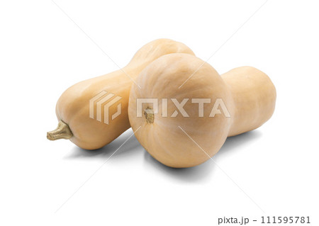 バターナッツかぼちゃ【山形県産】影あり バターナッツかぼちゃ【山形県産】影あり 111595781