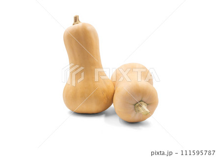 バターナッツかぼちゃ【山形県産】影あり バターナッツかぼちゃ【山形県産】影あり 111595787