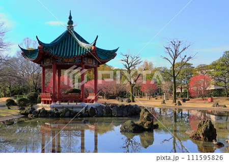 梅満開の武漢の森（大分市） 111595826