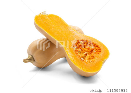 バターナッツかぼちゃ【山形県産】影あり バターナッツかぼちゃ【山形県産】影あり 111595952