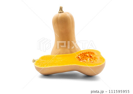 バターナッツかぼちゃ【山形県産】影あり バターナッツかぼちゃ【山形県産】影あり 111595955