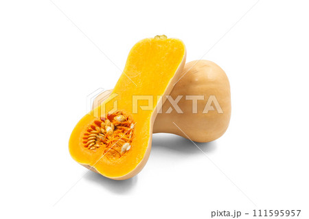 バターナッツかぼちゃ【山形県産】影あり バターナッツかぼちゃ【山形県産】影あり 111595957