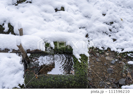 冬の京都　寂光院の苔庭にある蹲　筧からこぼれ落ちる水がつくばいの水面をたたく 111596210