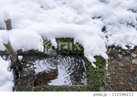 冬の京都　寂光院の苔庭にある蹲　筧からこぼれ落ちる水がつくばいの水面をたたく 111596211