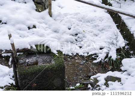 冬の京都　寂光院の苔庭にある蹲　筧からこぼれ落ちる水がつくばいの水面をたたく 111596212