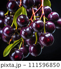 Delicious chokeberry on a twig Delicious chokeberry on a twig 111596850