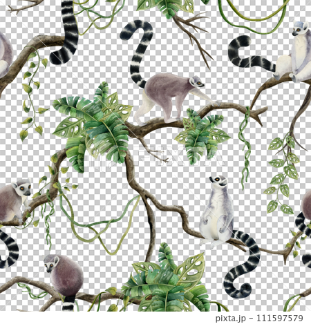 Lemurs on jungle trees with tropical leaves and vines watercolor seamless pattern with Madagascar cute tropical monkeys on branches Lemurs on jungle trees with tropical leaves and vines watercolor seamless pattern with Madagascar cute tropical monkeys on branches 111597579