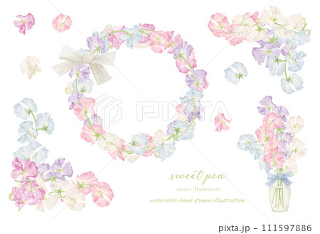 水彩で描いたスイトピーのフレーム素材 111597886
