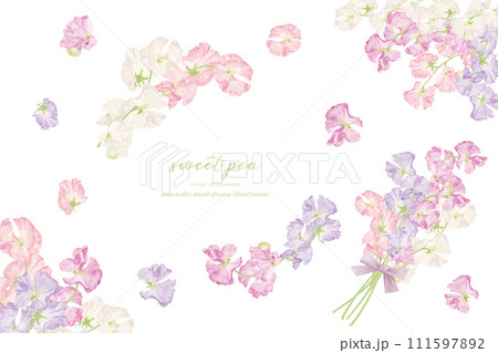 水彩で描いたスイトピーのフレーム素材 111597892