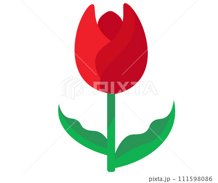 赤色のチューリップ。ベクターイラスト 111598086