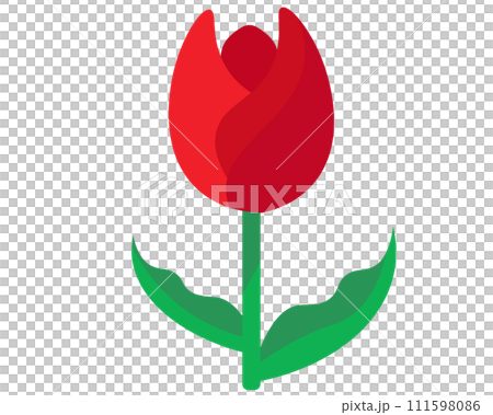 紅色鬱金香。向量圖 111598086