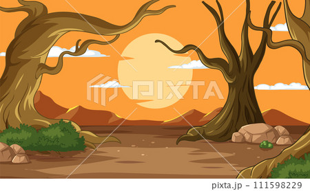 Sunset Between Twisted Trees 111598229