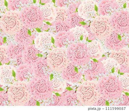 カーネーションの3ⅾイラスト背景 111599087