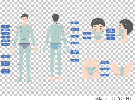 Hair loss areas on the whole body of men 111599345