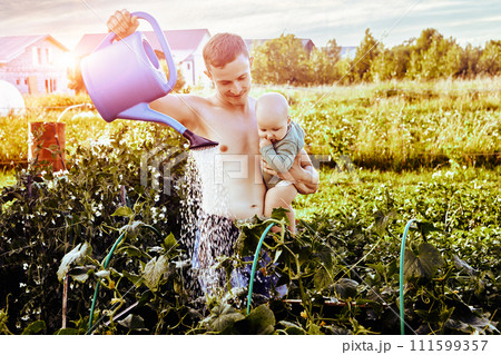 Shirtless man with baby in his arms waters cucumber seedlings in a garden bed using garden watering can on summer evening before sunset. Shirtless man with baby in his arms waters cucumber seedlings in a garden bed using garden watering can on summer evening before sunset. 111599357