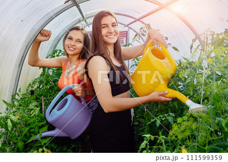 Smiling white women in their 20s water beds of tomatoes in a greenhouse using garden watering cans. Smiling white women in their 20s water beds of tomatoes in a greenhouse using garden watering cans. 111599359