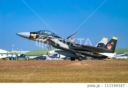 離陸する航空自衛隊の戦闘機 F-15DJ 記念塗装機 離陸する航空自衛隊の戦闘機 F-15DJ 記念塗装機 111599387