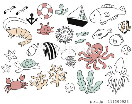 海の生き物の線画セット 111599928