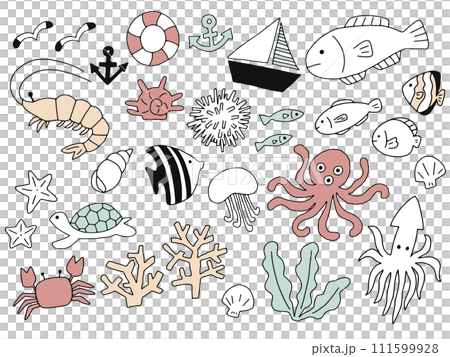 海の生き物の線画セット 111599928