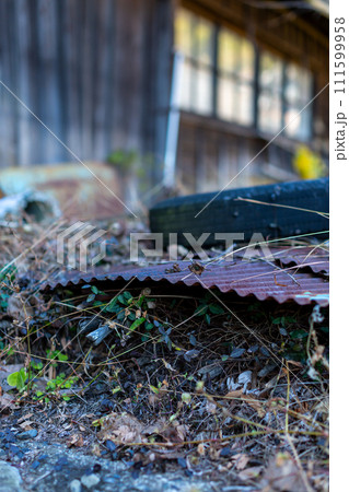 空家　廃屋 111599958