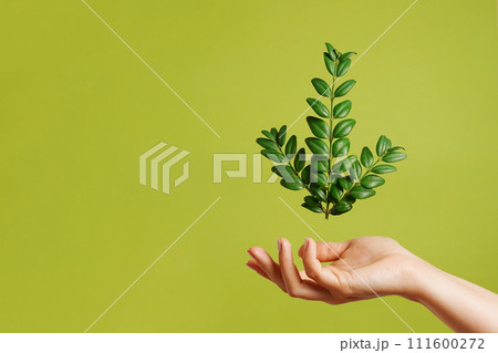 Green plant in female hand on the plain green background, copy space Green plant in female hand on the plain green background, copy space 111600272