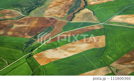 Agricultural Fields, Spain 111600360