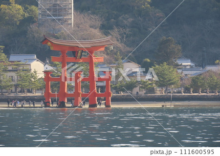 日本三景安芸の宮島の大鳥居 111600595
