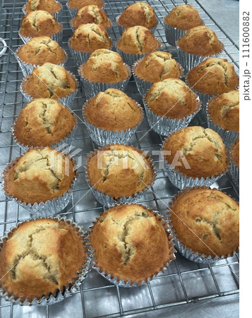 fresh buns with sesame fresh buns with sesame 111600882