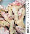 fresh chicken at the market 111601070