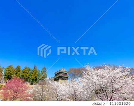 春爛漫の上田城 111601620