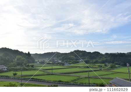 朝の田園風景 111602029