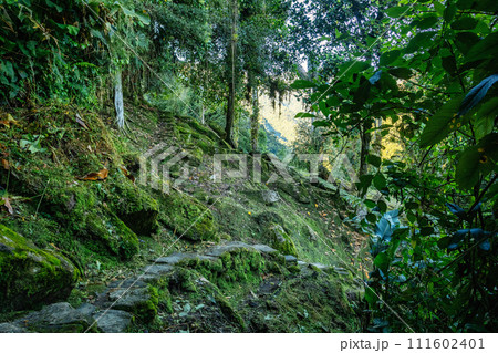 Ciudad Perdida, ancient ruins in Sierra Nevada mountains. Santa Marta, Colombia wilderness 111602401